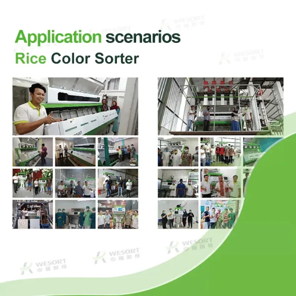 Rice color sorter