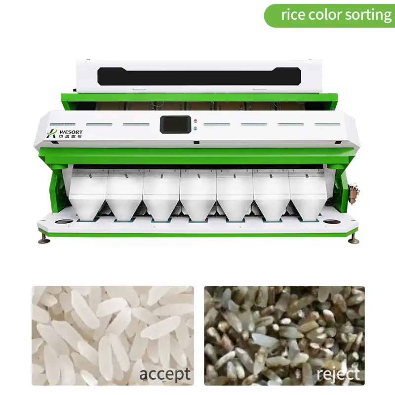 color sorter machine manufacturer