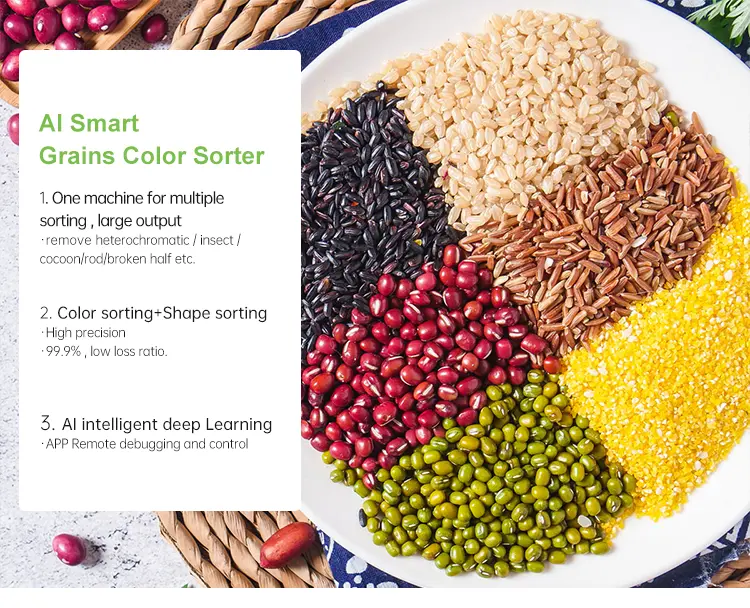 grain sorter
