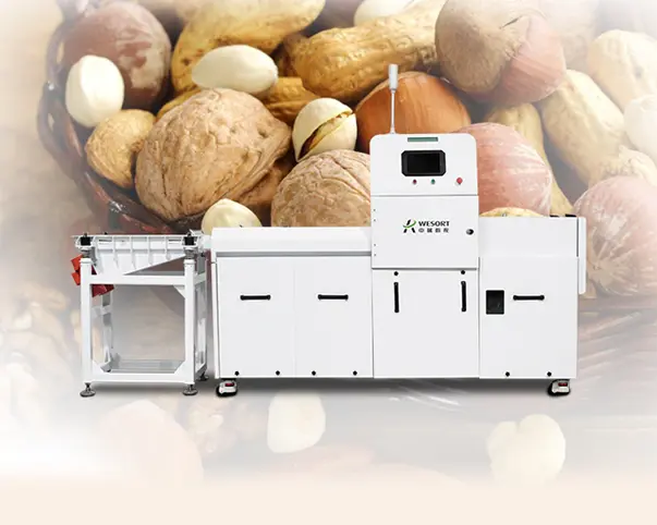 sorting machine price