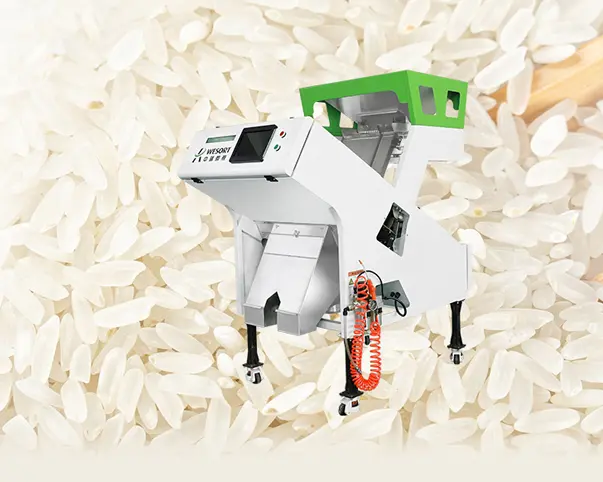 best sorters