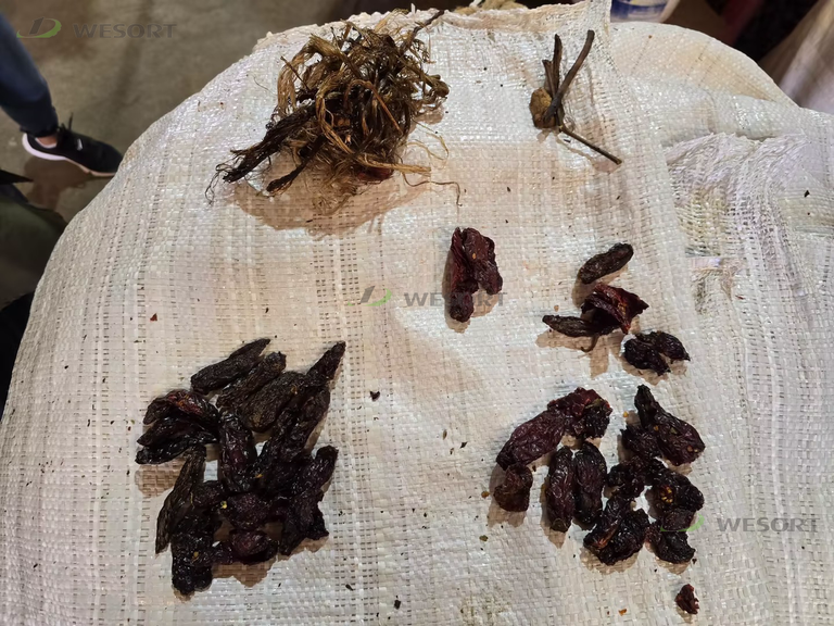 mexico-dried-chili-visible-defects-and-plant-material
